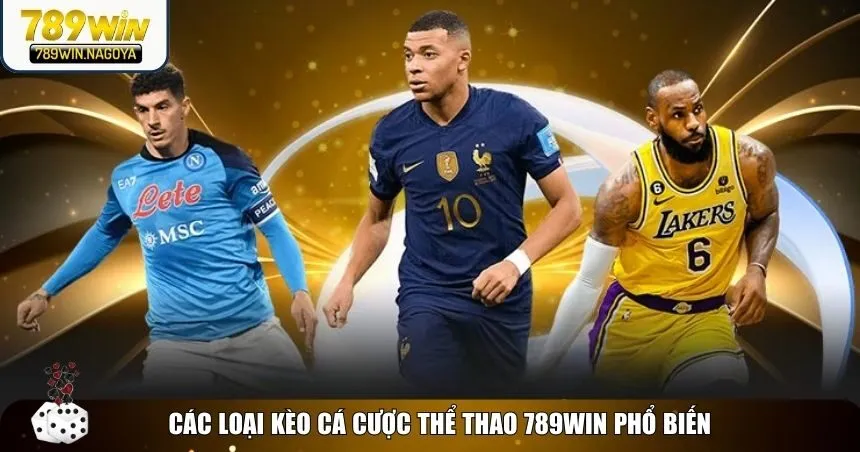 Sảnh thể thao 789win mang đến cho người chơi nhiều loại kèo hấp dẫn