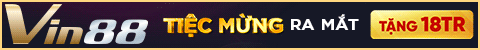 vin88